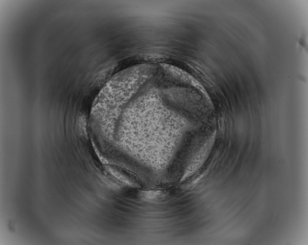 X0000091480575200709131814