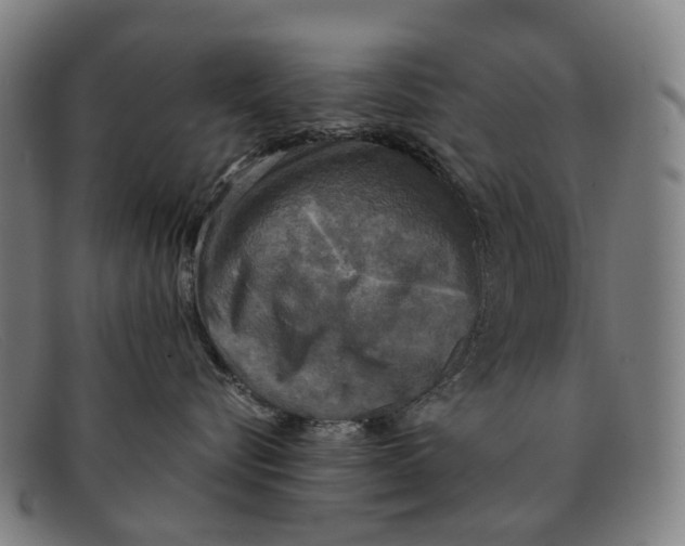 X0000091480576200709131814