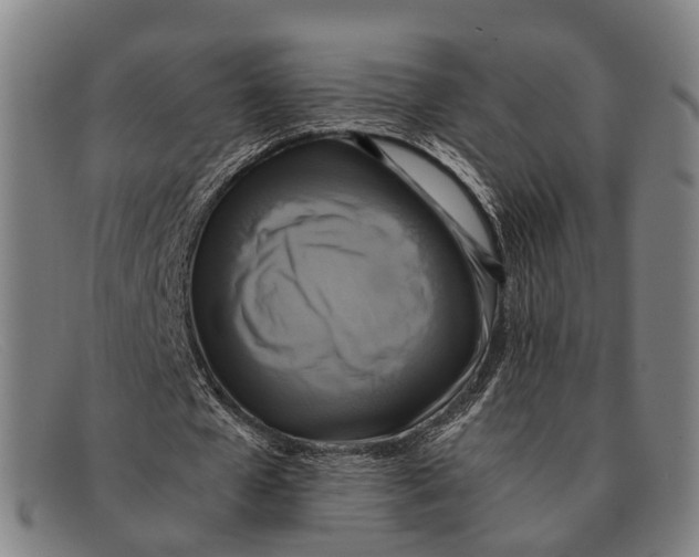 X0000091480577200709131813