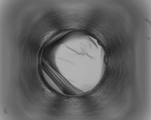 X0000091480578200709131813