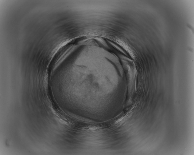 X0000091480580200709131813