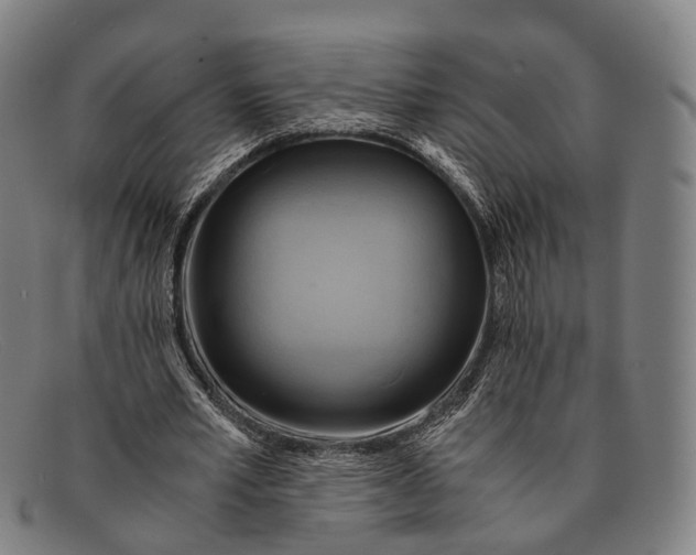 X0000091480581200709131813