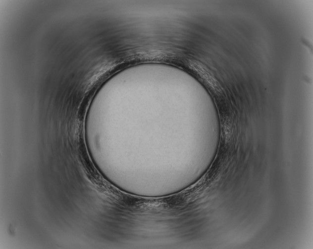 X0000091480583200709131813