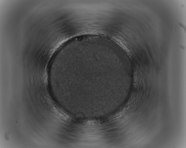 X0000091480584200709131813