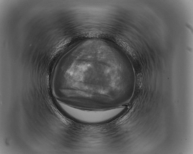 X0000091480589200709131813