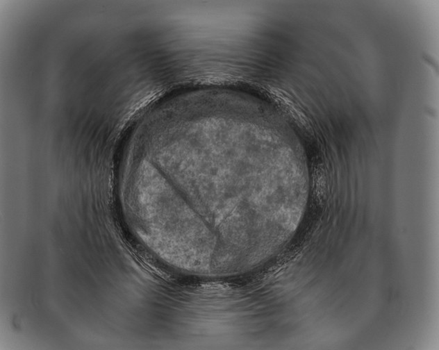 X0000091480591200709131813