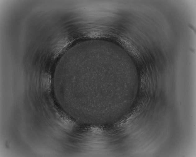 X0000091480592200709131813