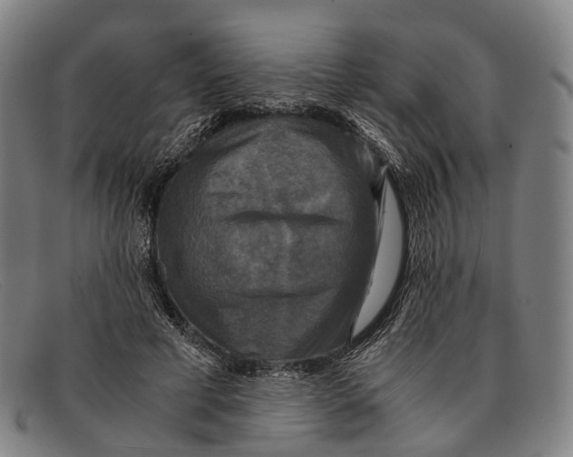 X0000091480593200709131813