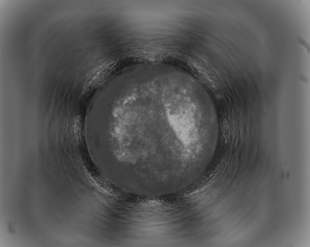 X0000091480594200709131813