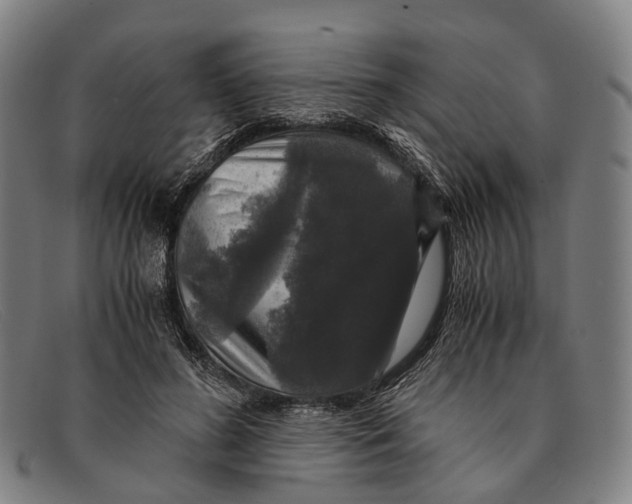 X0000091480596200709131813