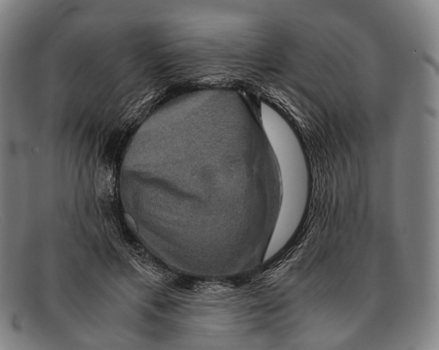 X0000091480597200709131813