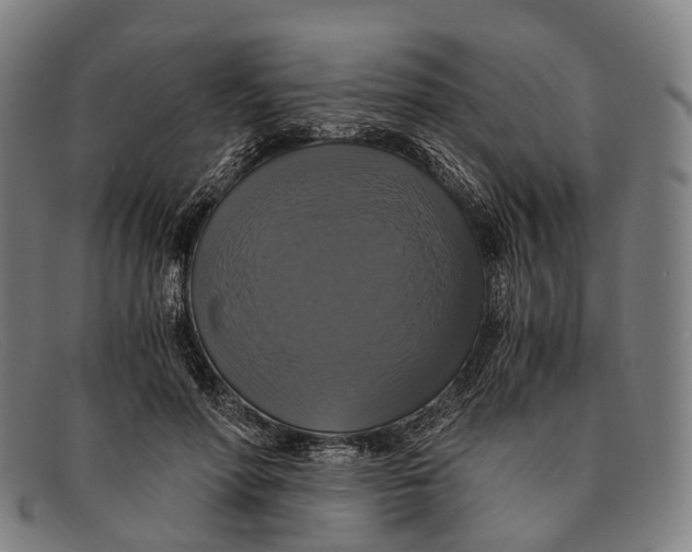 X0000091480598200709131813