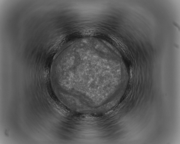 X0000091480601200709131813