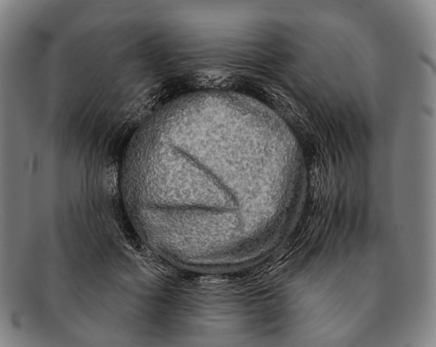 X0000091480602200709131813