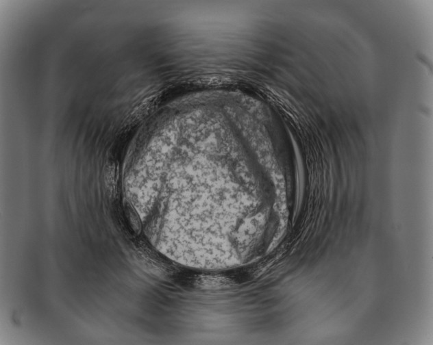 X0000091480605200709131813