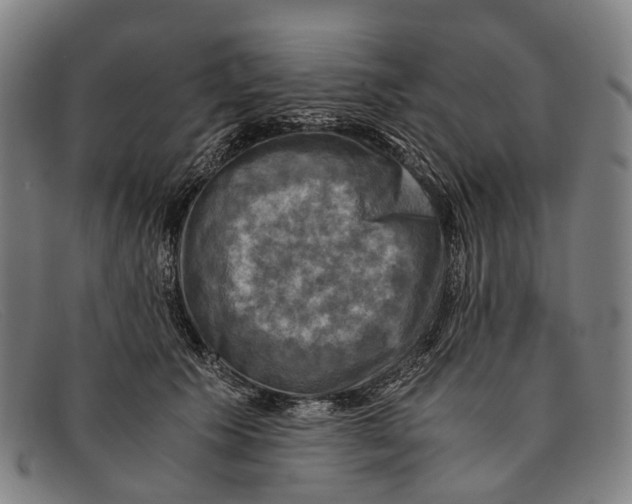 X0000091480609200709131813