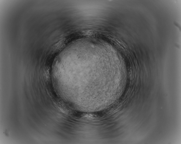 X0000091480611200709131813