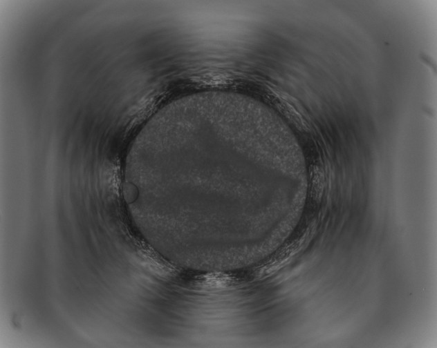 X0000091480612200709131813