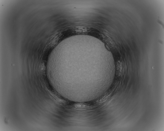 X0000091480614200709131813