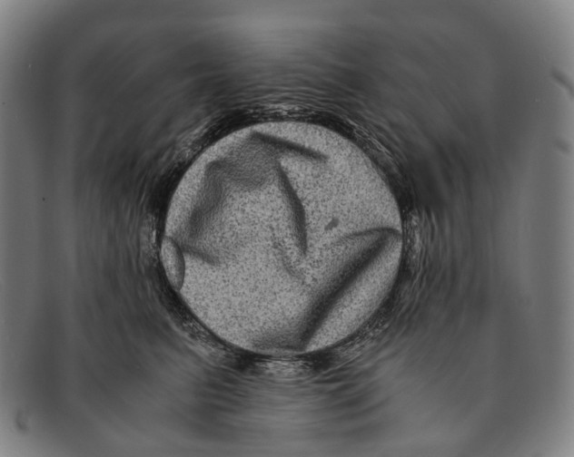 X0000091480615200709131813