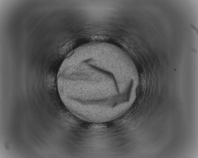 X0000091480619200709131813