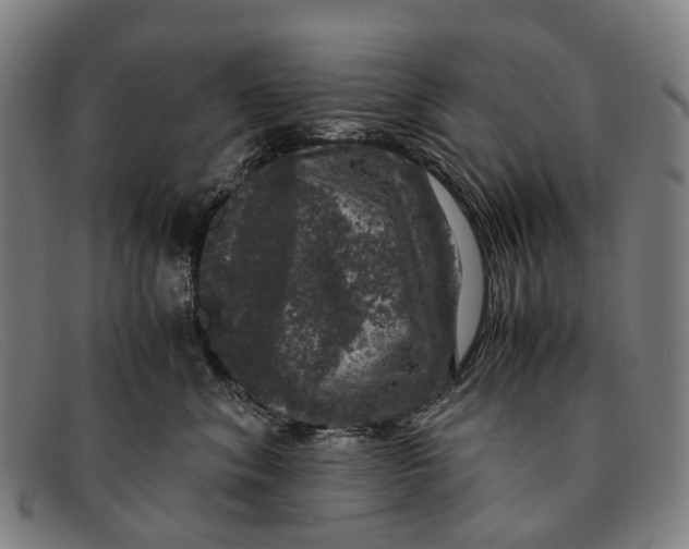 X0000091480620200709131813