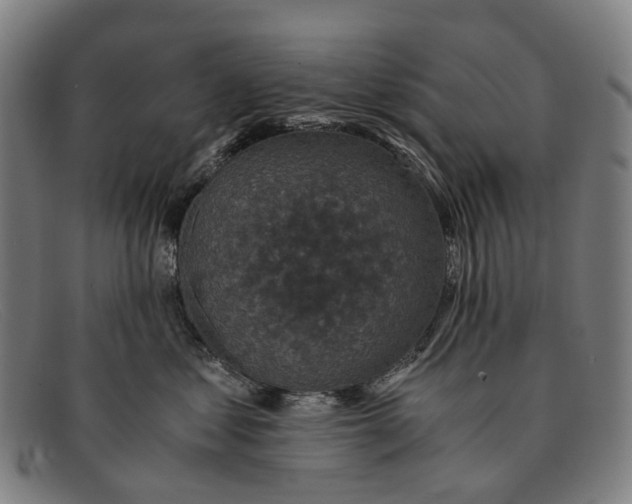 X0000091480621200709131813