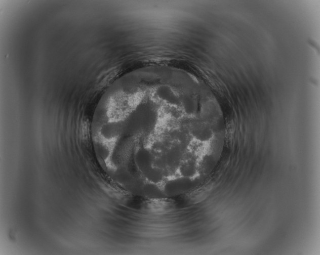 X0000091480623200709131813