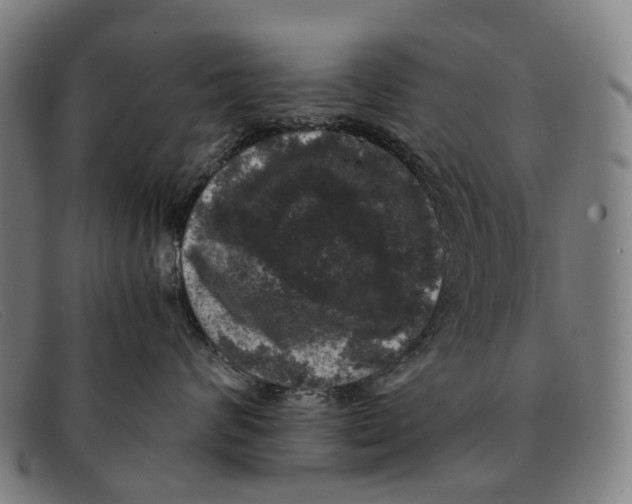 X0000091480624200709131813