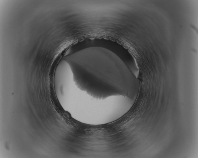 X0000091480626200709131812