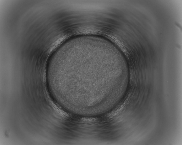 X0000091480629200709131812