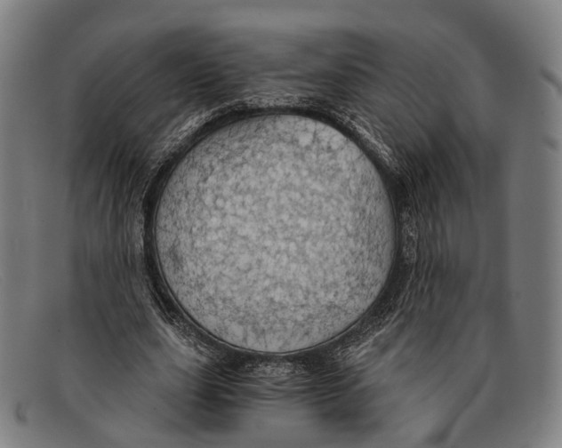 X0000091480631200709131812