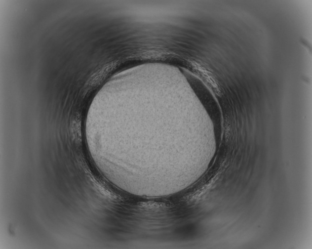 X0000091480633200709131812