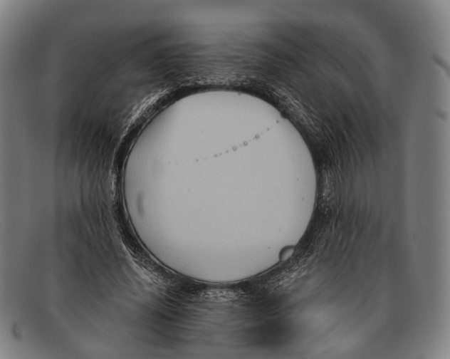 X0000091480636200709131812