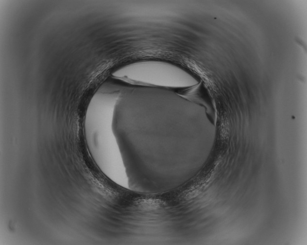 X0000091480637200709131812