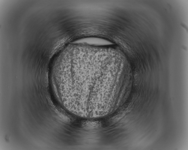 X0000091480638200709131812