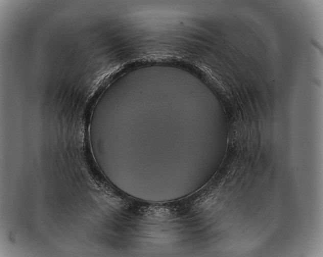 X0000091480640200709131812