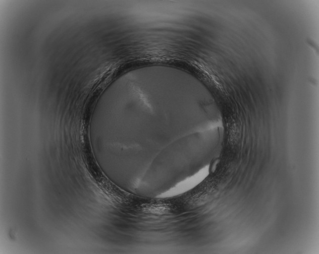 X0000091480643200709131812