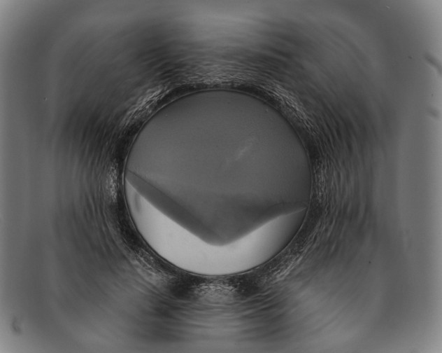 X0000091480644200709131812