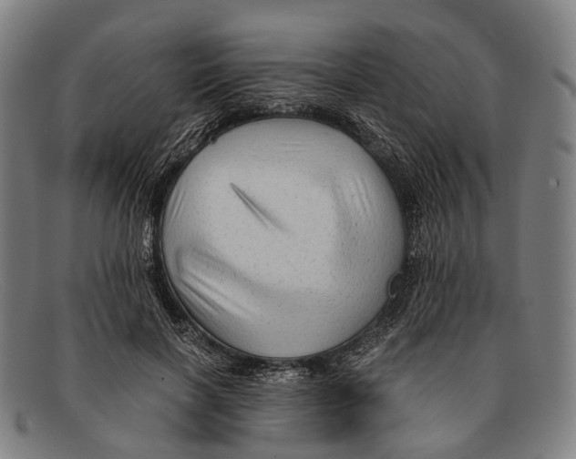 X0000091480646200709131812