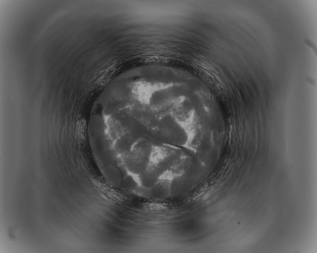 X0000091480649200709131812