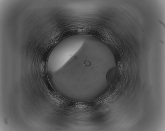 X0000091480650200709131812