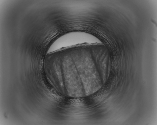 X0000091480652200709131812