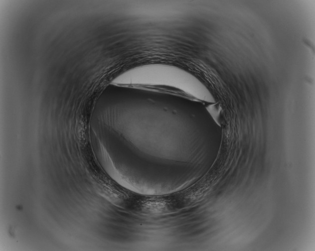 X0000091480653200709131812