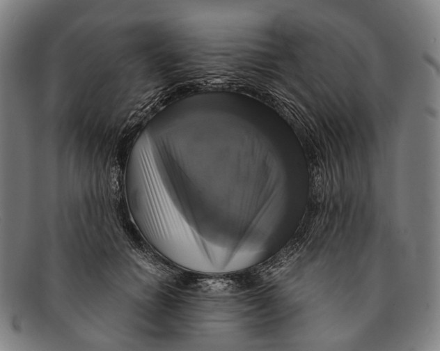 X0000091480654200709131812