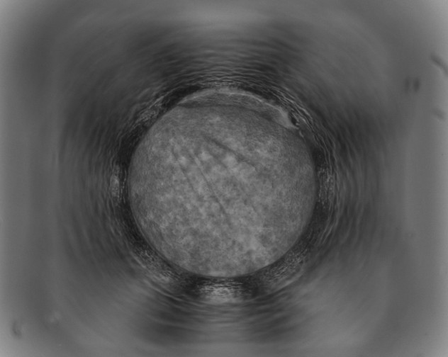 X0000091480655200709131812