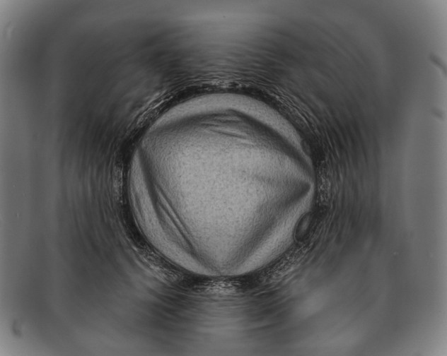 X0000091480656200709131812