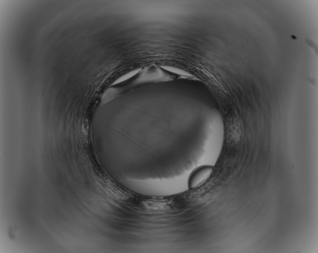 X0000091480661200709131812