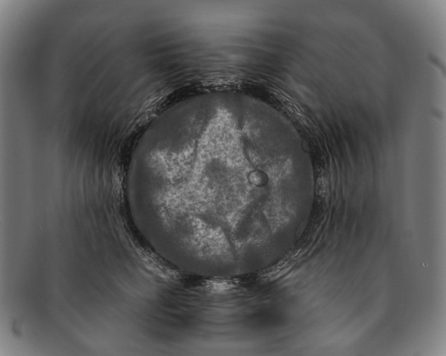 X0000091480662200709131812