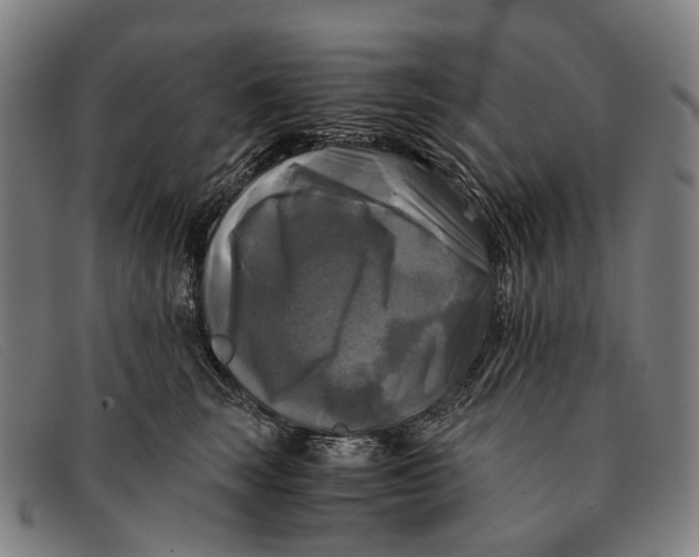 X0000091480663200709131812